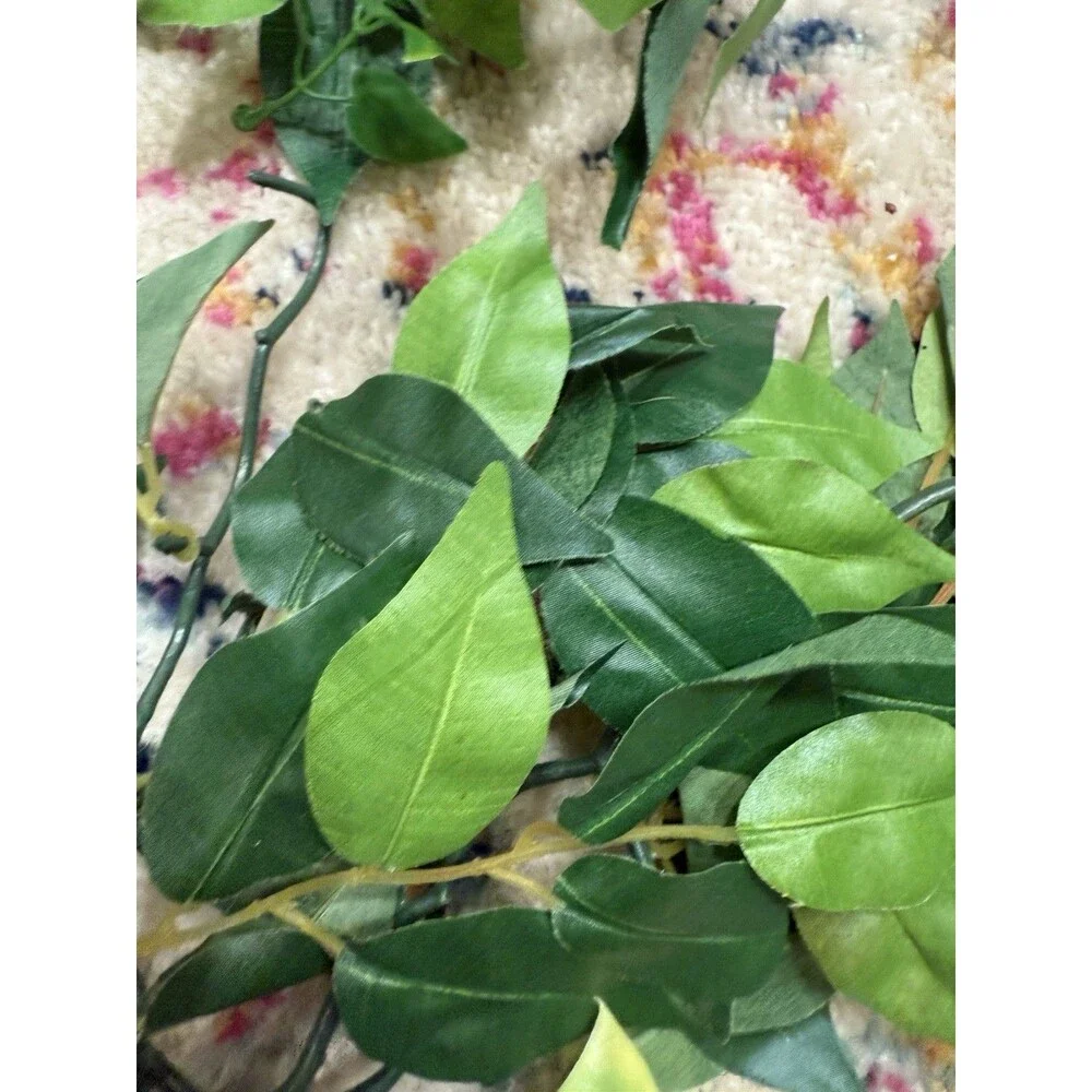 N/A reptile tank